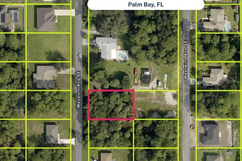 Land in Palm Bay, Florida № 2163895 - photo 3