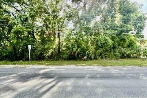 Land in Bell, Florida № 1837236 - photo 3