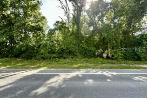 Land in Bell, Florida № 1837236 - photo 1