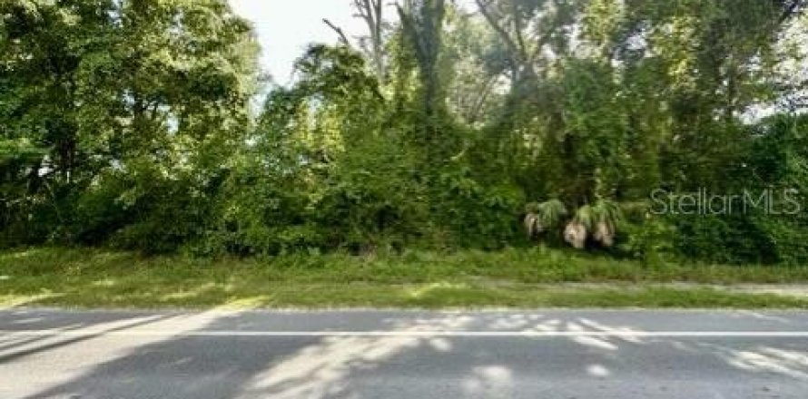 Land in Bell, Florida № 1837236