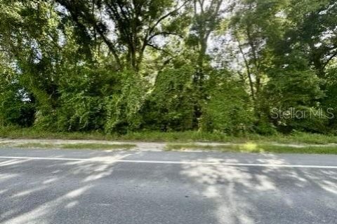 Land in Bell, Florida № 1837236 - photo 2