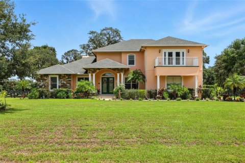 Casa en venta en Mount Dora, Florida, 6 dormitorios, 466.83 m2 № 1917068 - foto 12