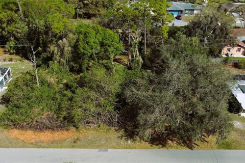 Terreno en venta en Port Charlotte, Florida № 238484 - foto 7