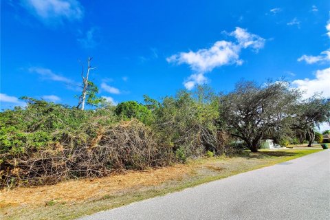 Terreno en venta en Port Charlotte, Florida № 238484 - foto 8
