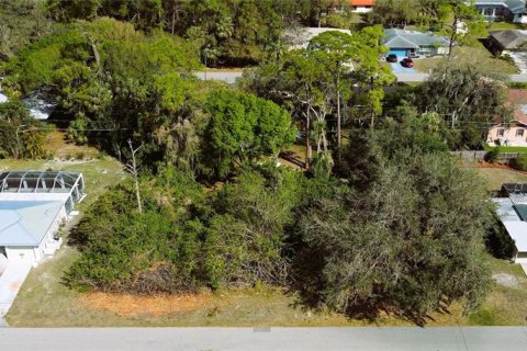 Terreno en venta en Port Charlotte, Florida № 238484 - foto 13