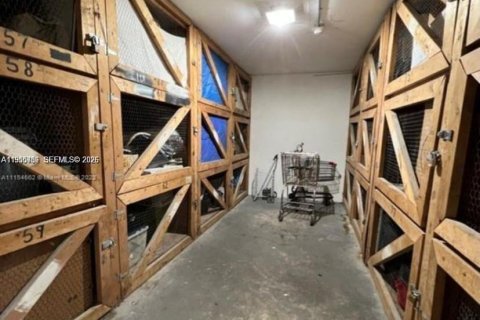 Copropriété à louer à Hollywood, Floride: 1 chambre, 55.46 m2 № 2009719 - photo 24