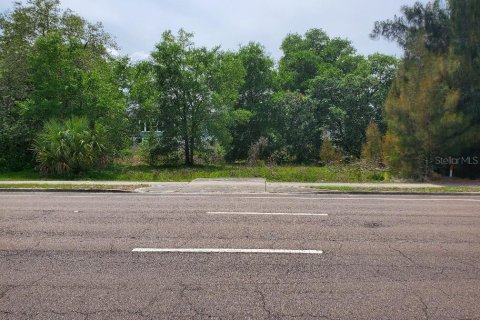 Land in Oviedo, Florida № 1886753 - photo 1