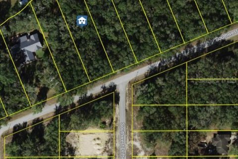 Land in Dunnellon, Florida № 2163141 - photo 2