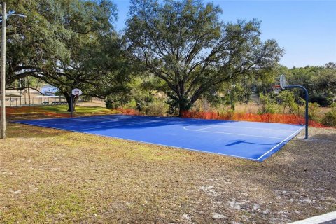 Land in Dunnellon, Florida № 2163141 - photo 9