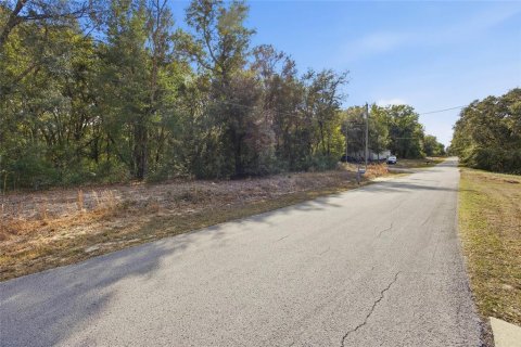 Land in Dunnellon, Florida № 2163141 - photo 4