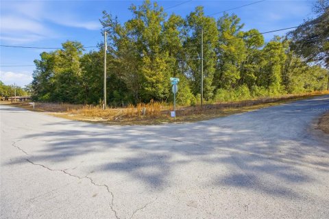 Land in Dunnellon, Florida № 2163141 - photo 3