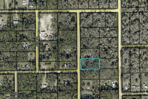 Terreno en Bunnell, Florida № 2158991