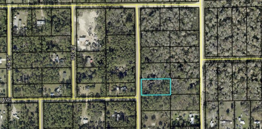 Land in Bunnell, Florida № 2158991
