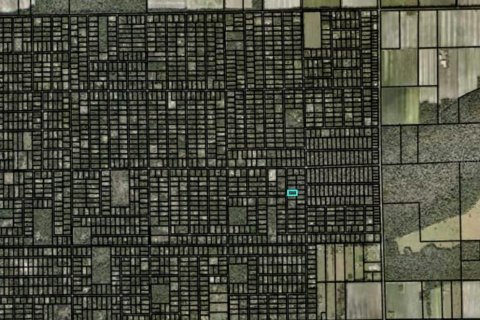 Land in Bunnell, Florida № 2158991 - photo 2