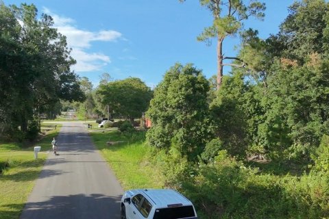 Land in DeLand, Florida № 2215153 - photo 10