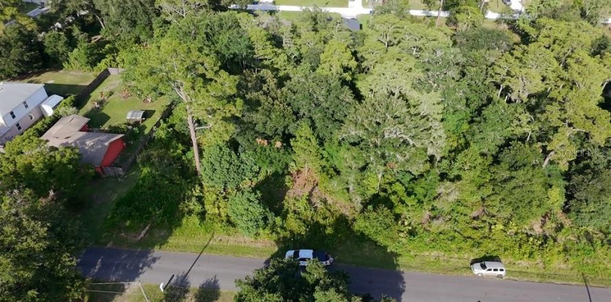 Land in DeLand, Florida № 2215153