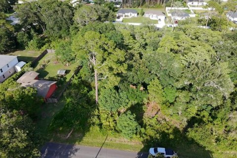 Land in DeLand, Florida № 2215153 - photo 6
