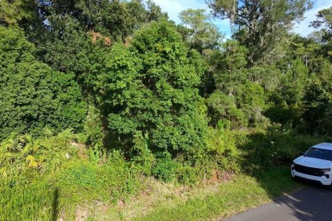 Land in DeLand, Florida № 2215153 - photo 5