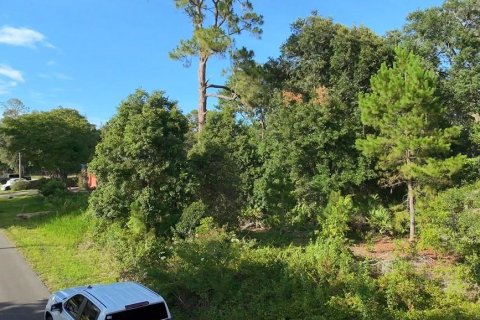 Land in DeLand, Florida № 2215153 - photo 3