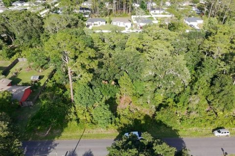 Land in DeLand, Florida № 2215153 - photo 2