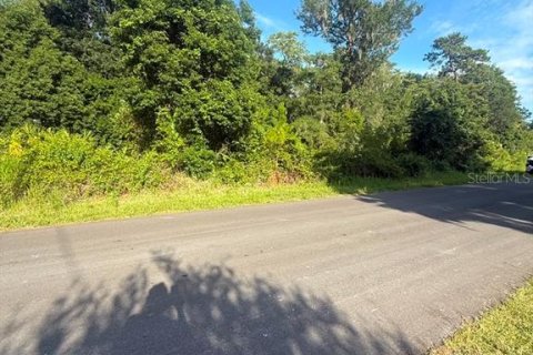 Land in DeLand, Florida № 2215153 - photo 11