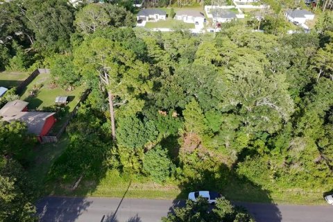 Land in DeLand, Florida № 2215153 - photo 7