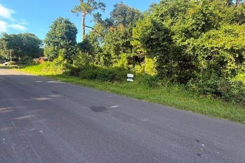 Land in DeLand, Florida № 2215153 - photo 12