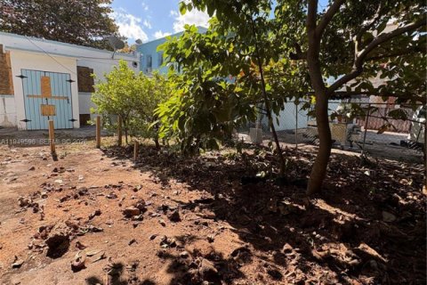 Immobilier commercial à vendre à Miami, Floride: 128.21 m2 № 2005228 - photo 15