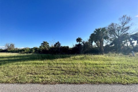 Land in Rotonda, Florida № 2160132