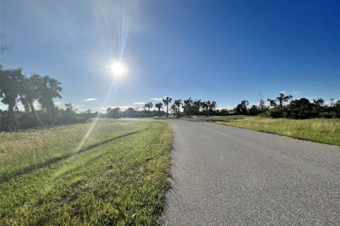 Land in Rotonda, Florida № 2160132 - photo 4