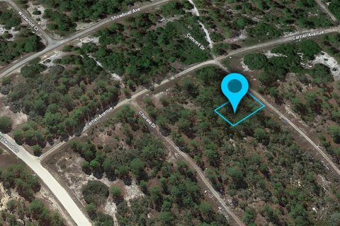 Land in Lake Placid, Florida № 2159251 - photo 3