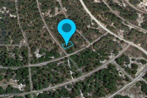Land in Lake Placid, Florida № 2159251 - photo 2
