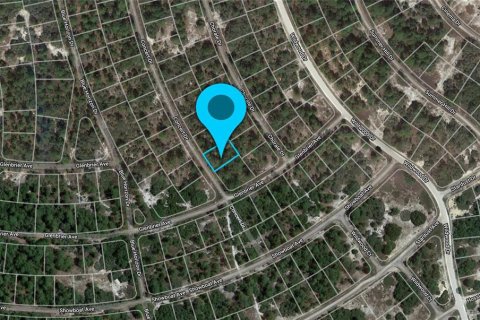 Land in Lake Placid, Florida № 2159251