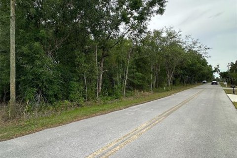 Land in Belleview, Florida № 2161487 - photo 4