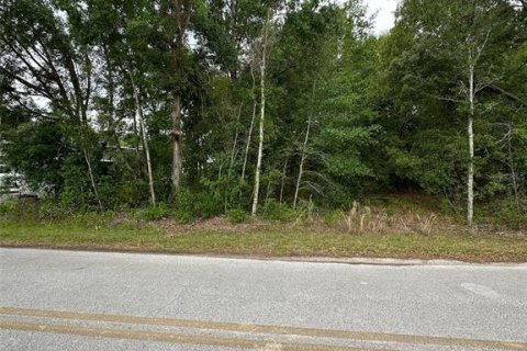 Land in Belleview, Florida № 2161487 - photo 2