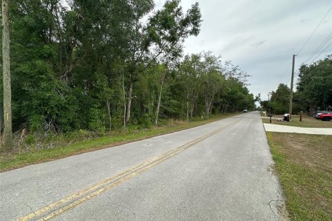 Land in Belleview, Florida № 2161487 - photo 3
