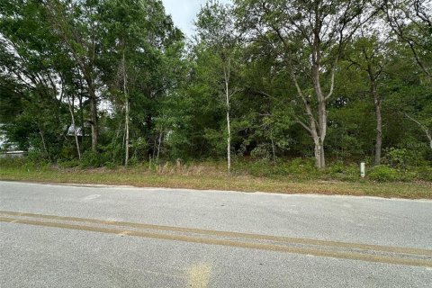 Land in Belleview, Florida № 2161487