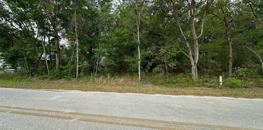 Land in Belleview, Florida № 2161487
