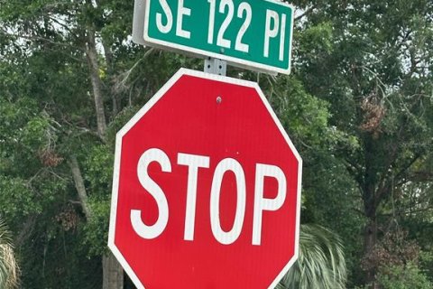Land in Belleview, Florida № 2161487 - photo 5