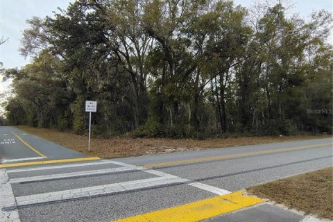 Terrain à Brooksville, Floride № 2148620