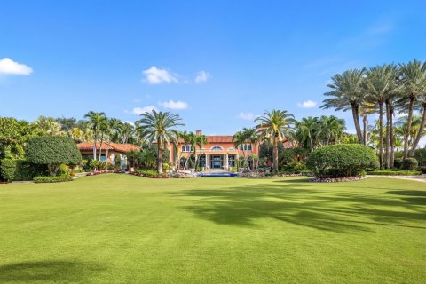 Villa ou maison à vendre à Palm Beach, Floride: 8 chambres, 1346.71 m2 № 2082383 - photo 26