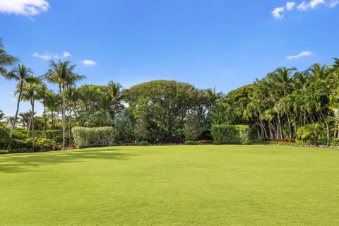 Villa ou maison à vendre à Palm Beach, Floride: 8 chambres, 1346.71 m2 № 2082383 - photo 25