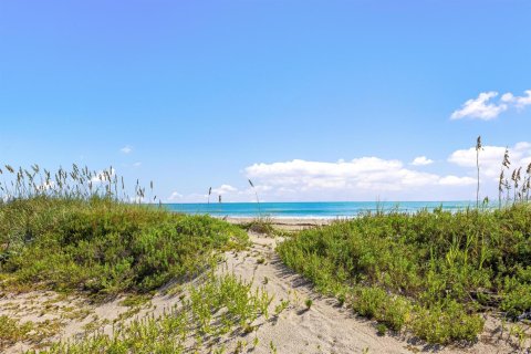 Villa ou maison à vendre à Palm Beach, Floride: 8 chambres, 1346.71 m2 № 2082383 - photo 9