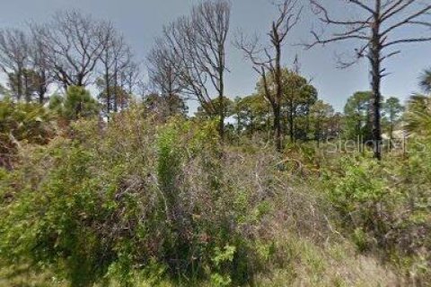 Land in Port Charlotte, Florida № 2160559