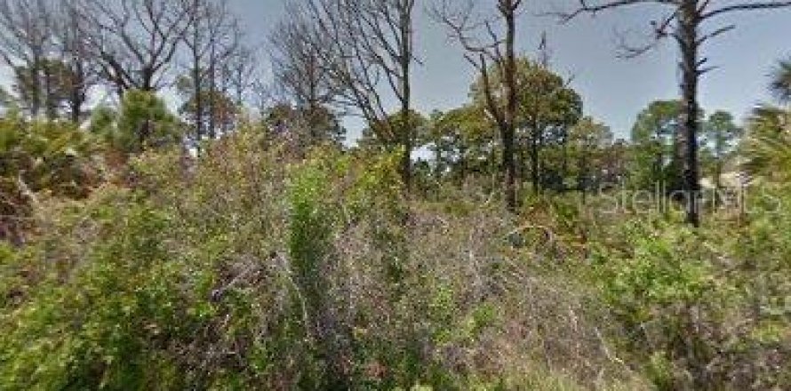 Land in Port Charlotte, Florida № 2160559
