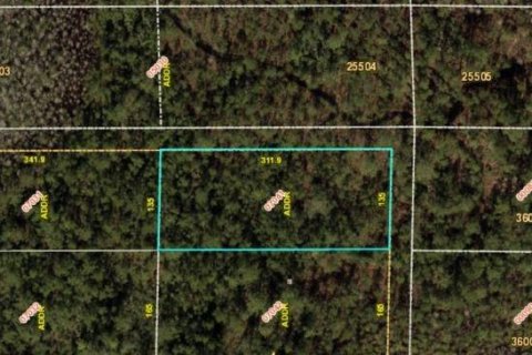 Land in Orlando, Florida № 2163557 - photo 2