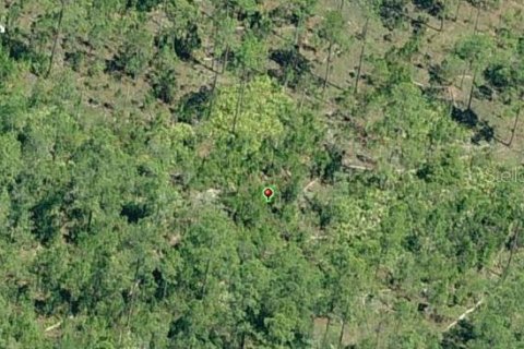 Land in Orlando, Florida № 2163557 - photo 3
