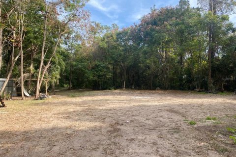 House in Apopka, Florida 3 bedrooms, 316.05 sq.m. № 2108068 - photo 4