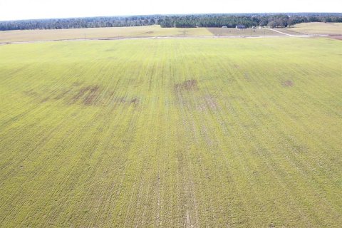 Terreno en venta en Bell, Florida № 1816881 - foto 1