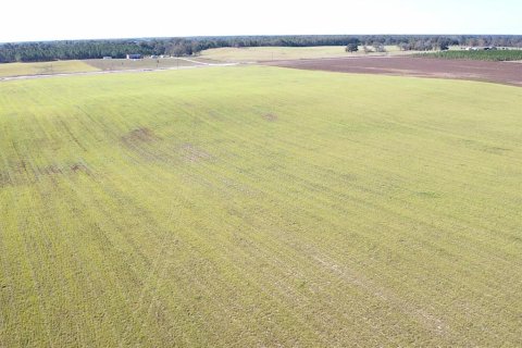 Terreno en venta en Bell, Florida № 1816881 - foto 3
